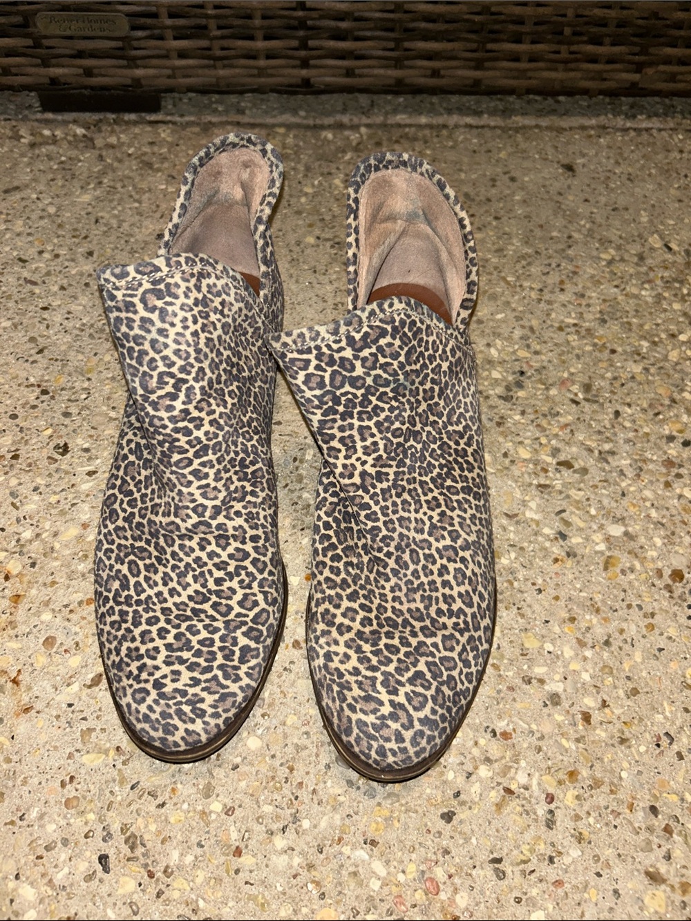 Lucky Brand Leopard-Print Ankle Booties in Brown and Black